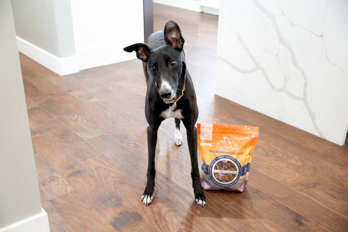 PREMIUM RAW FREEZE DRIED DOG FOOD BEEF